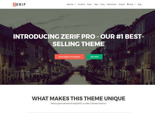 Zerif WordPress Theme